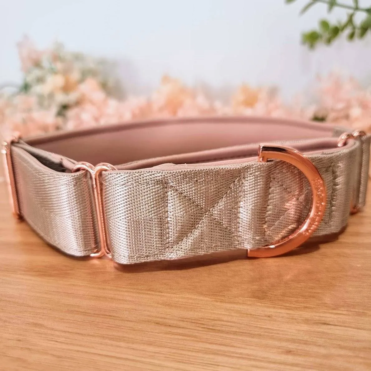 Beige martingale collar - Padded