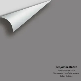 Benjamin Moore - Wool Peacoat CSP-25 Colour Sample