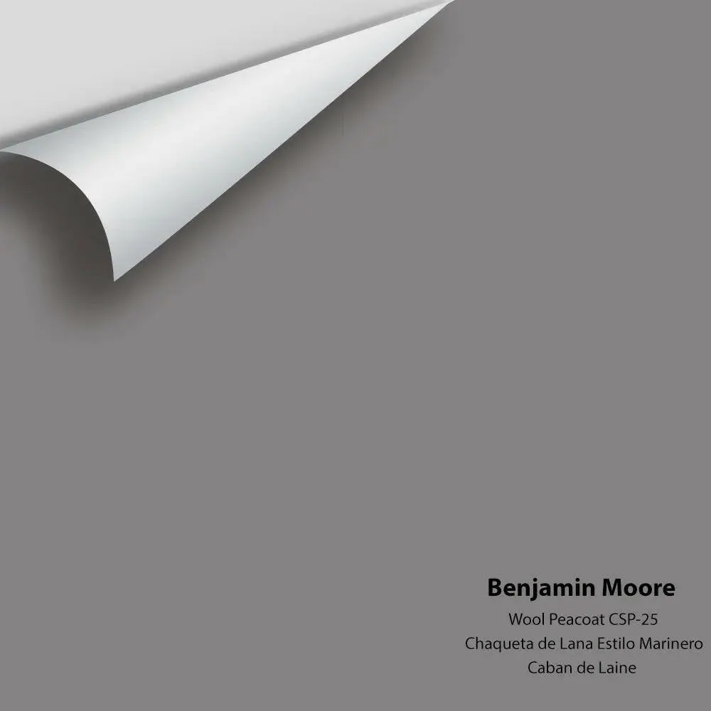Benjamin Moore - Wool Peacoat CSP-25 Colour Sample