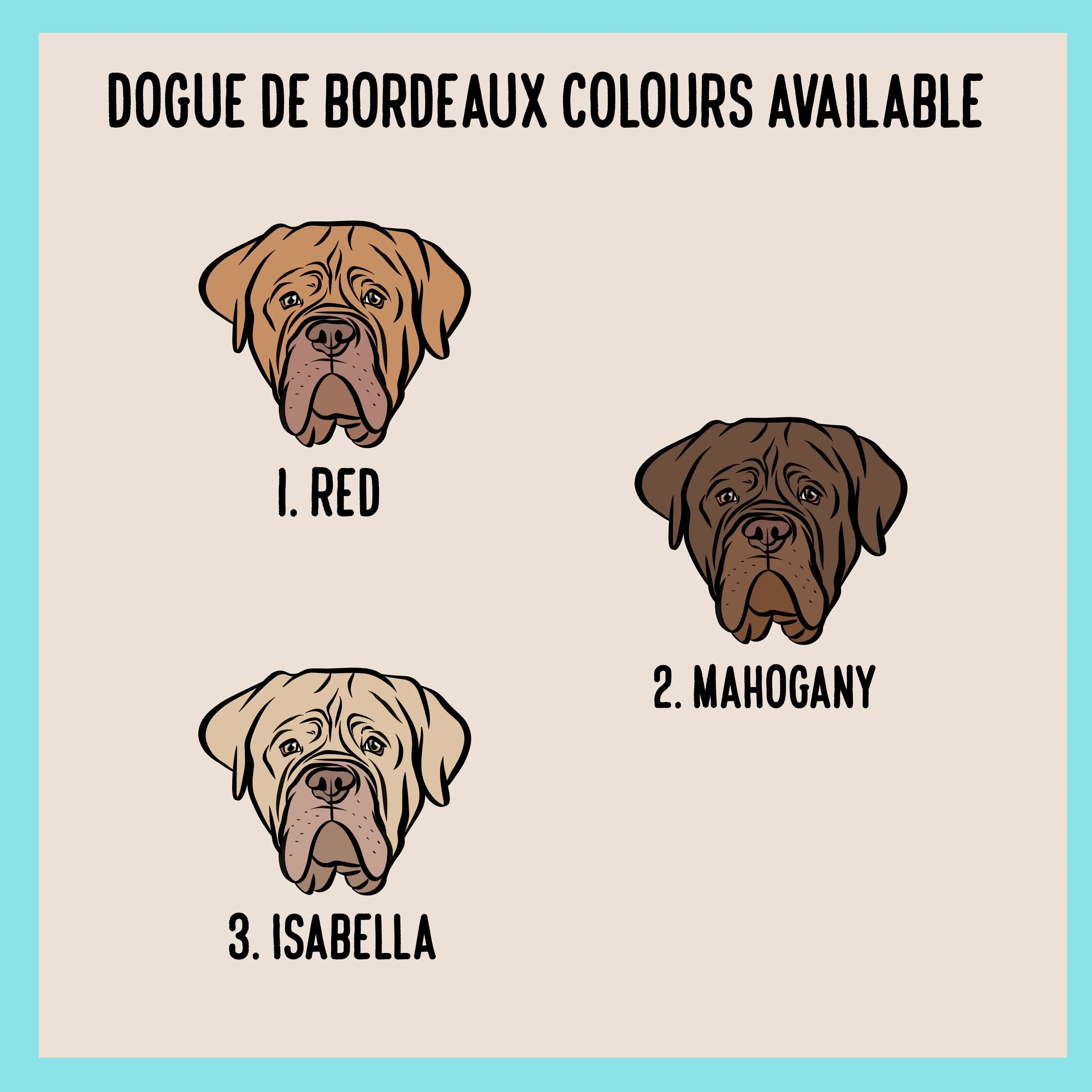 Dogue de Bordeaux Collar