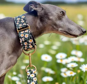 Green Daisy Martingale Collar
