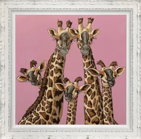 High Five Rangwali Pink by Amy Louise