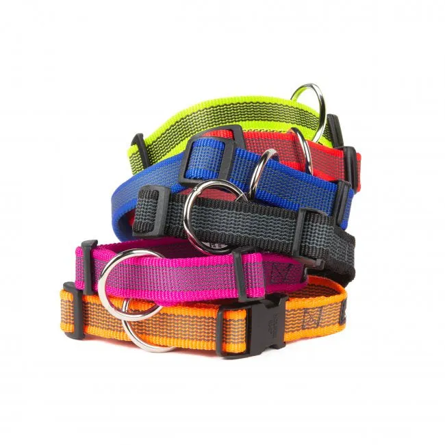 JULIUS K9 COLLAR