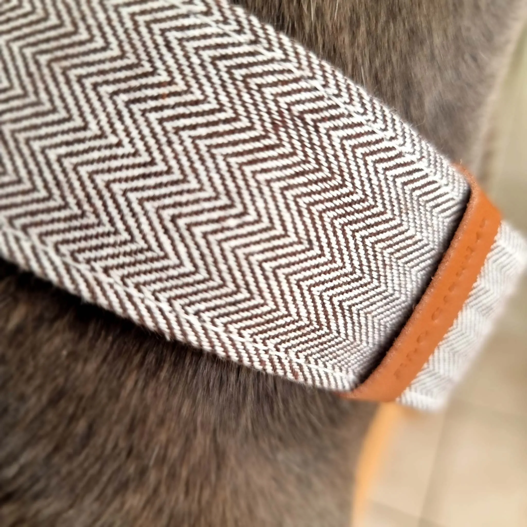 Martingale collar - Herringbone