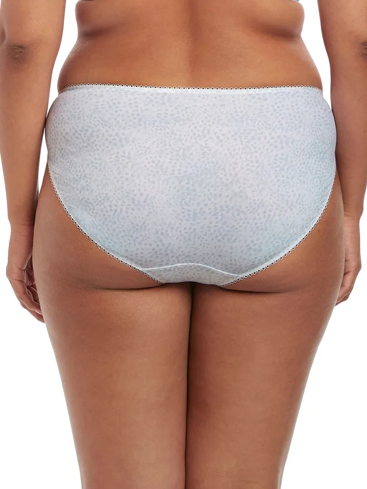 Morgan Brief