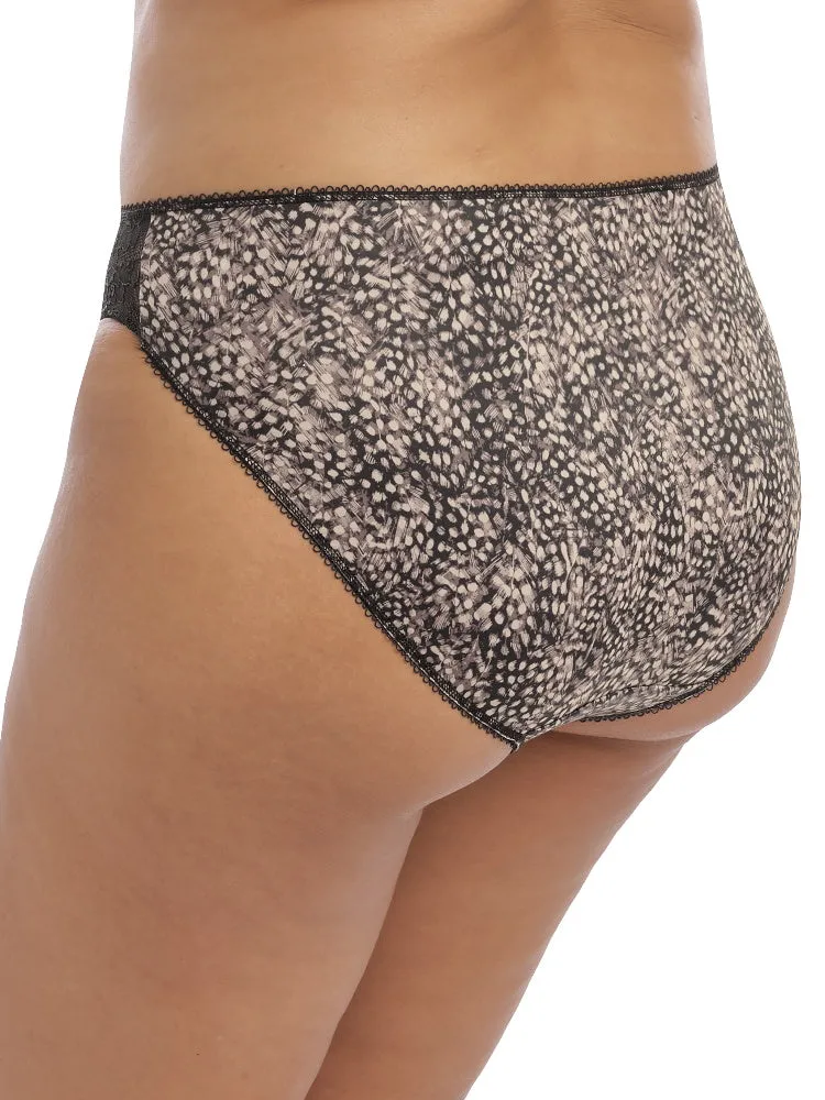 Morgan Brief