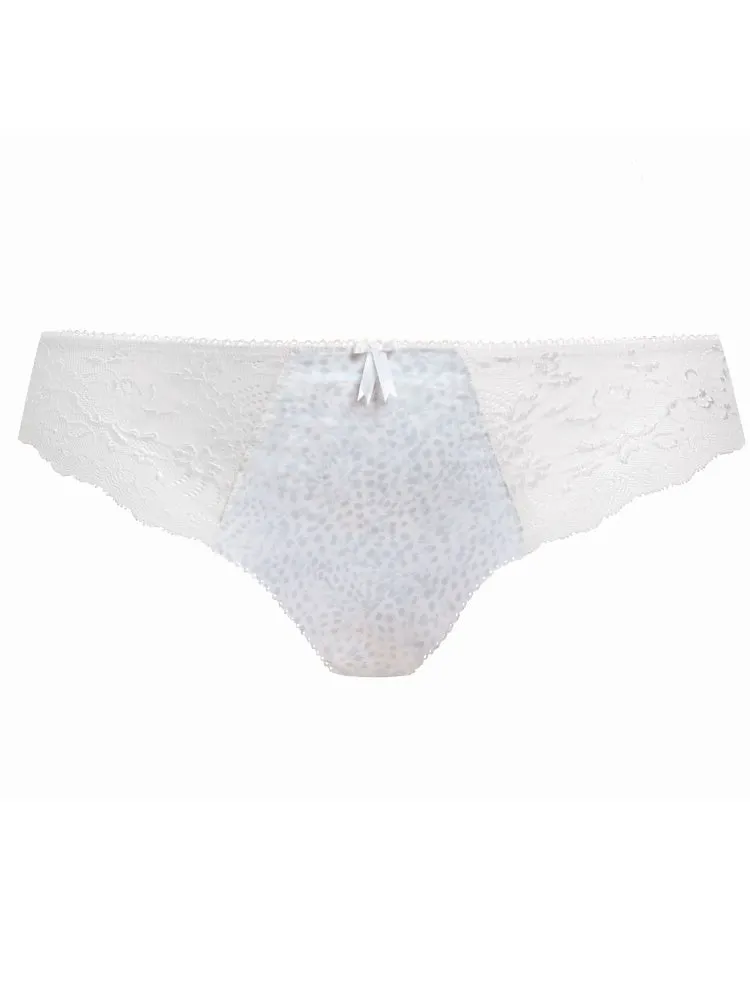 Morgan Brief