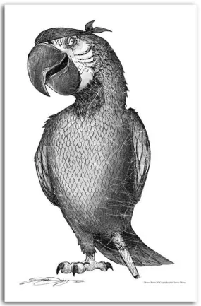 "Parrot Pirate" Fine Art Paper Print