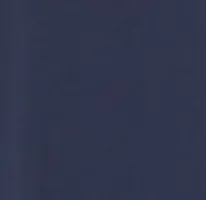 Rain Blue Bethany Long Sleeve Cowl Neck Top