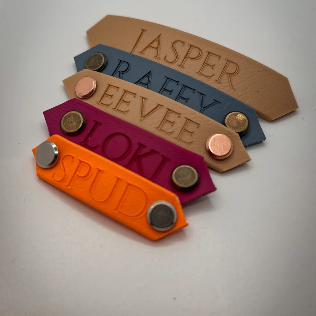 Strip Design Dog Collar with Name