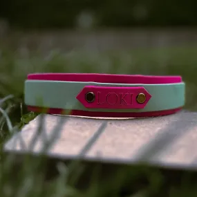 Strip Design Dog Collar with Name