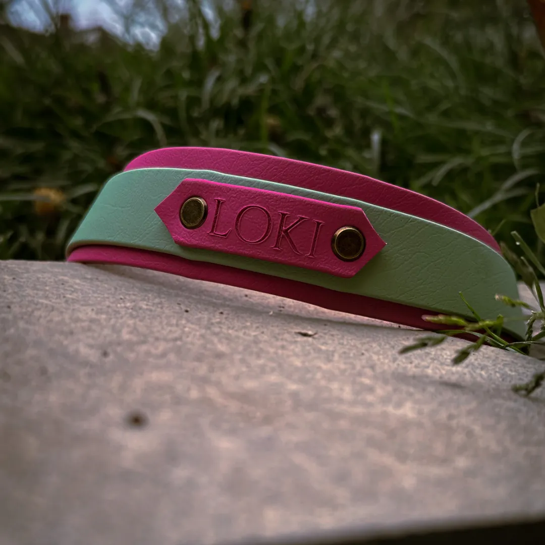 Strip Design Dog Collar with Name