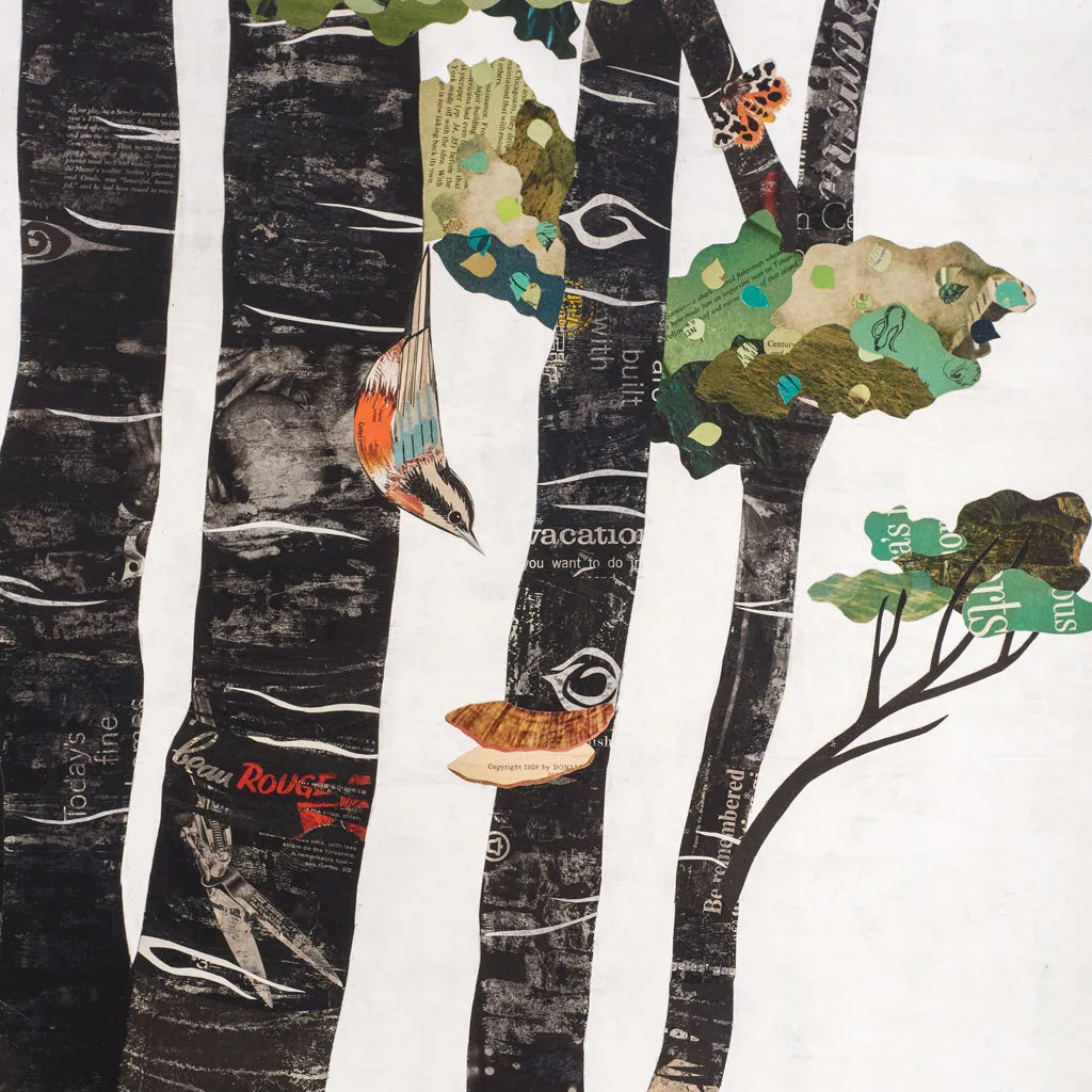WHSL - Canvas -  High Country Summer